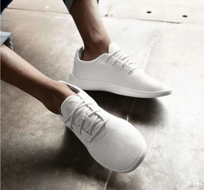 Natural Running Shoes Allbirds Tree Runners - CLASSICS: Chalk (White Sole)