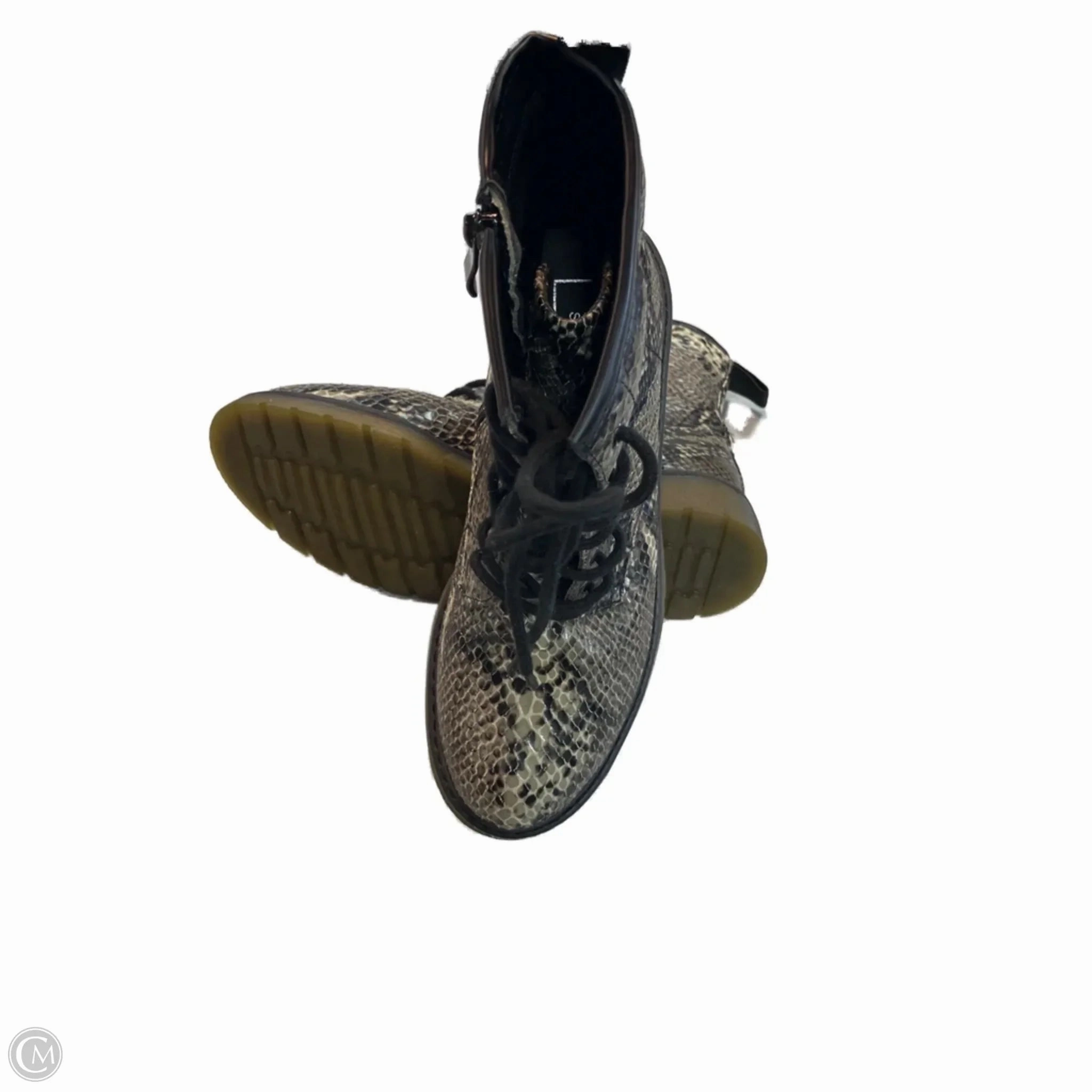 Boots Combat By Shu Shop In Snakeskin Print, Size: 7 Laced Up Combat Boots