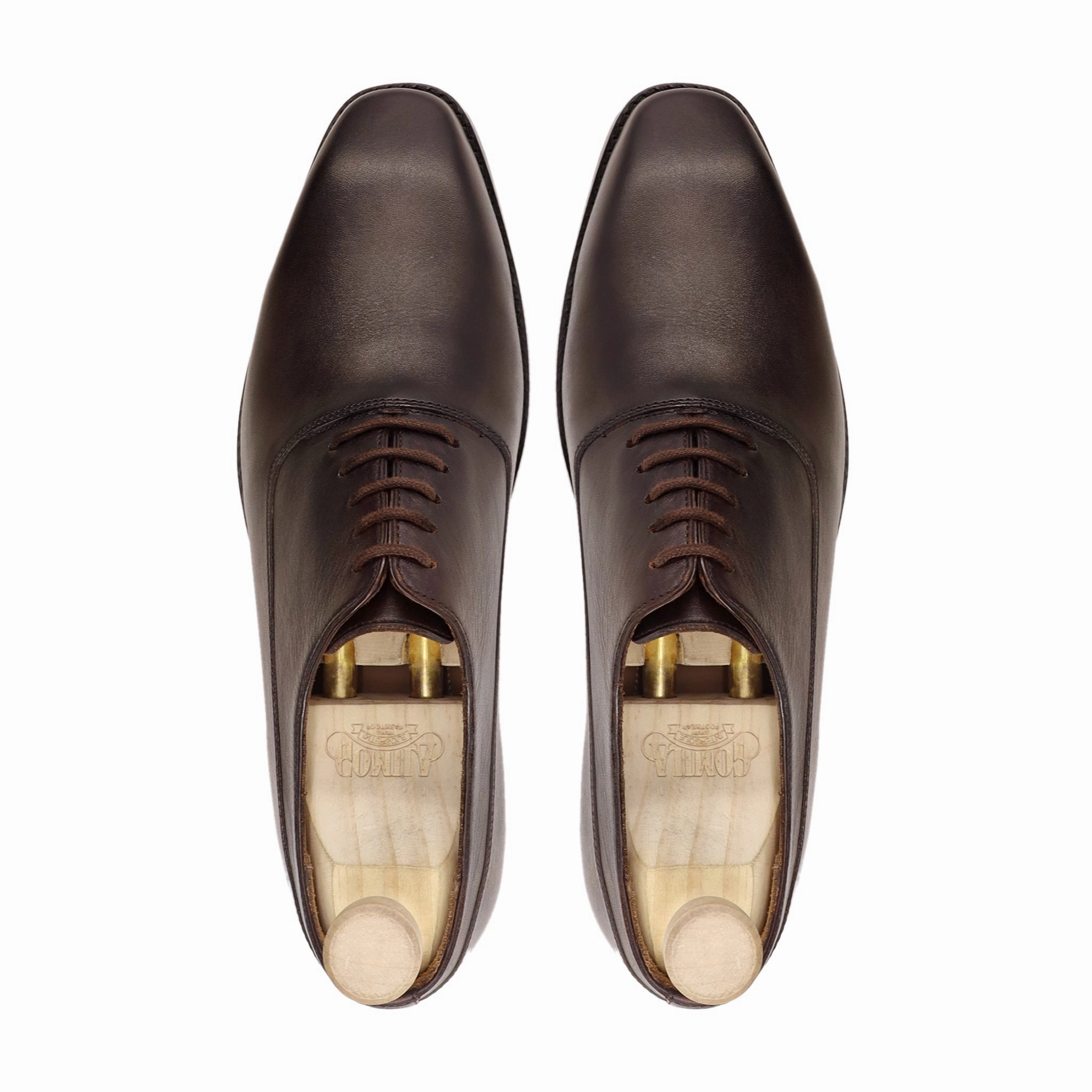 Myko - Men's Dark Brown Calf Leather Oxford Shoe Osborn Grand 360 Plain Oxfords