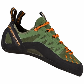 Tarantulace Evolv Defy Rock Climbing Shoes Review