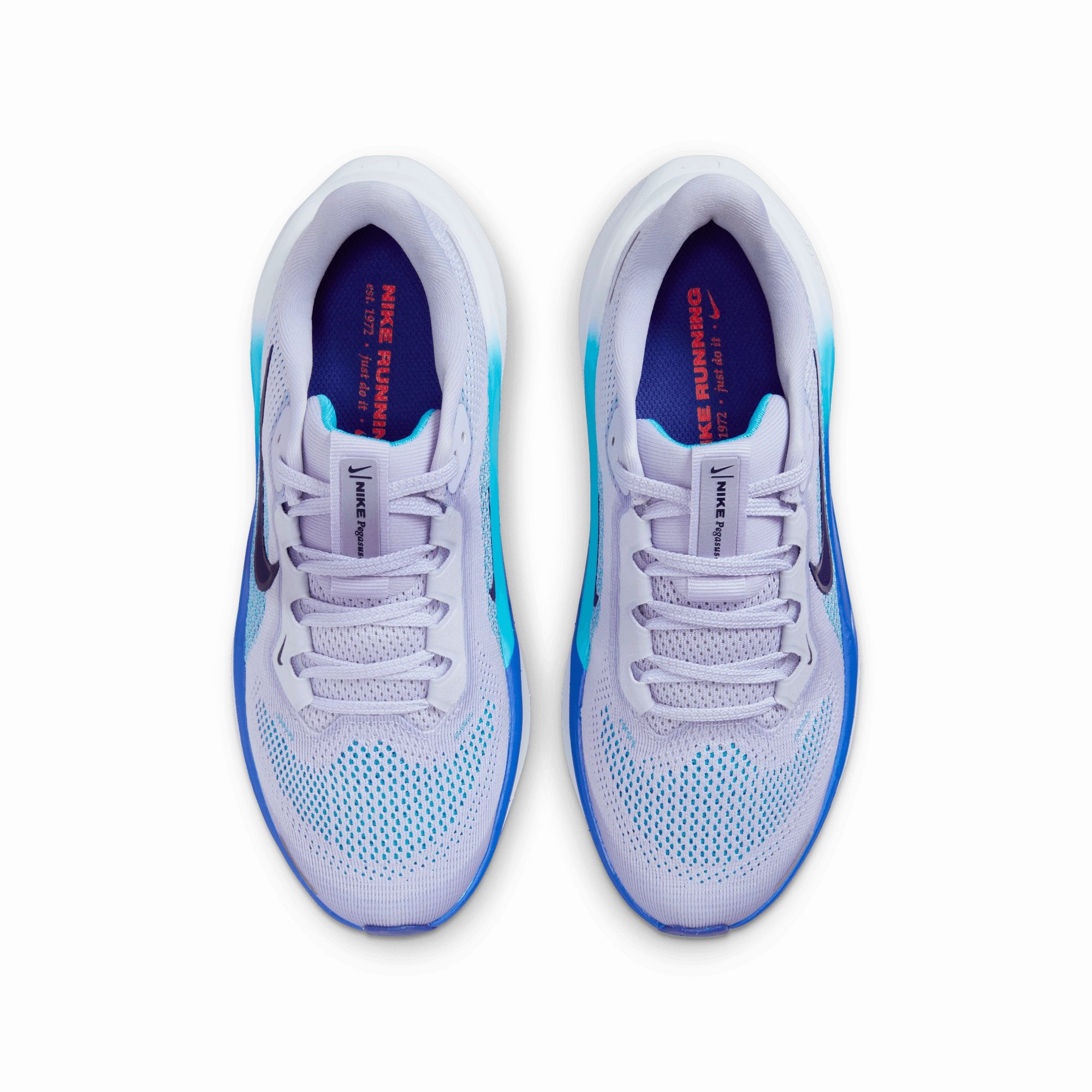 KID'S PEGASUS 41 - GHOST/BLUE VOID Nba Nike Shoes