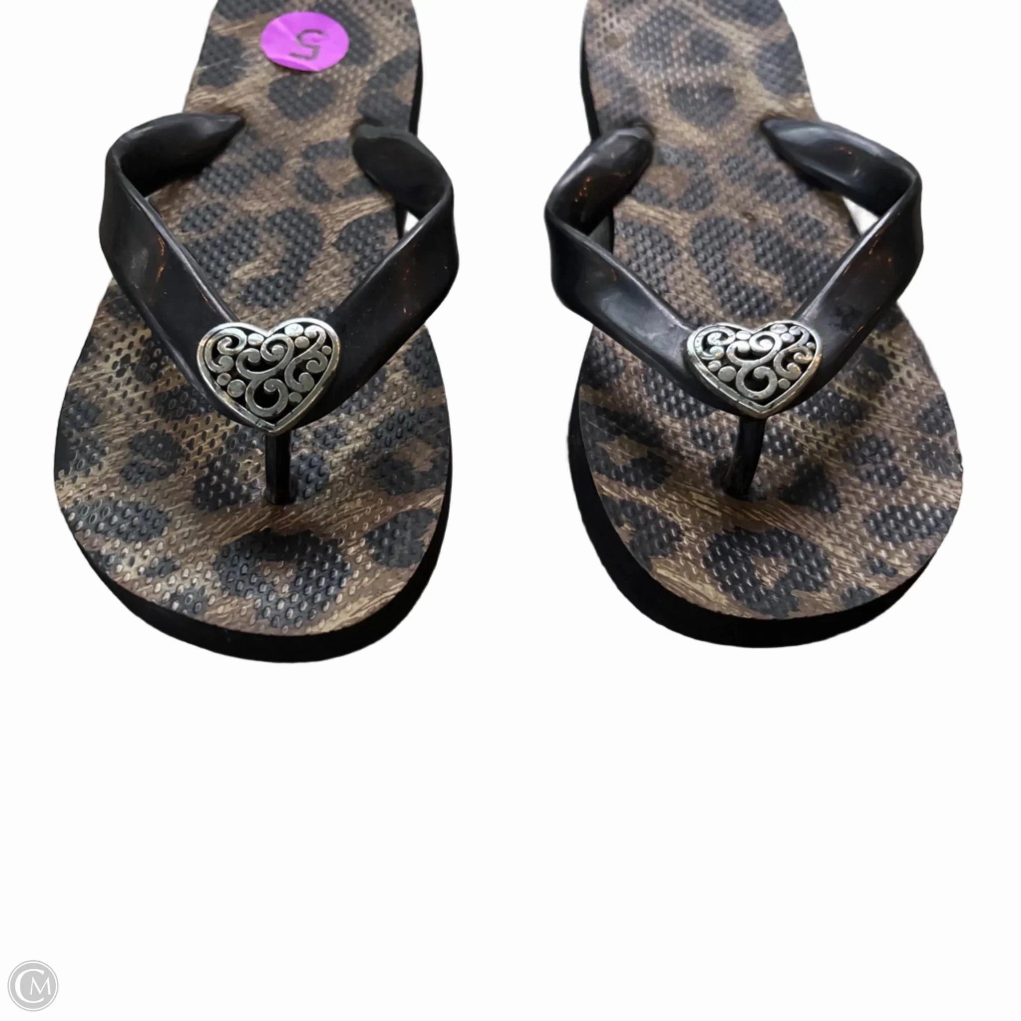 Sandals Flip Flops By Brighton In Animal Print, Size: 5 Flip Flops Light Up