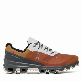 Best Warm Waterproof Shoes Men's On Cloudventure Waterproof, Pecan/Lead, 10.5 D Medium