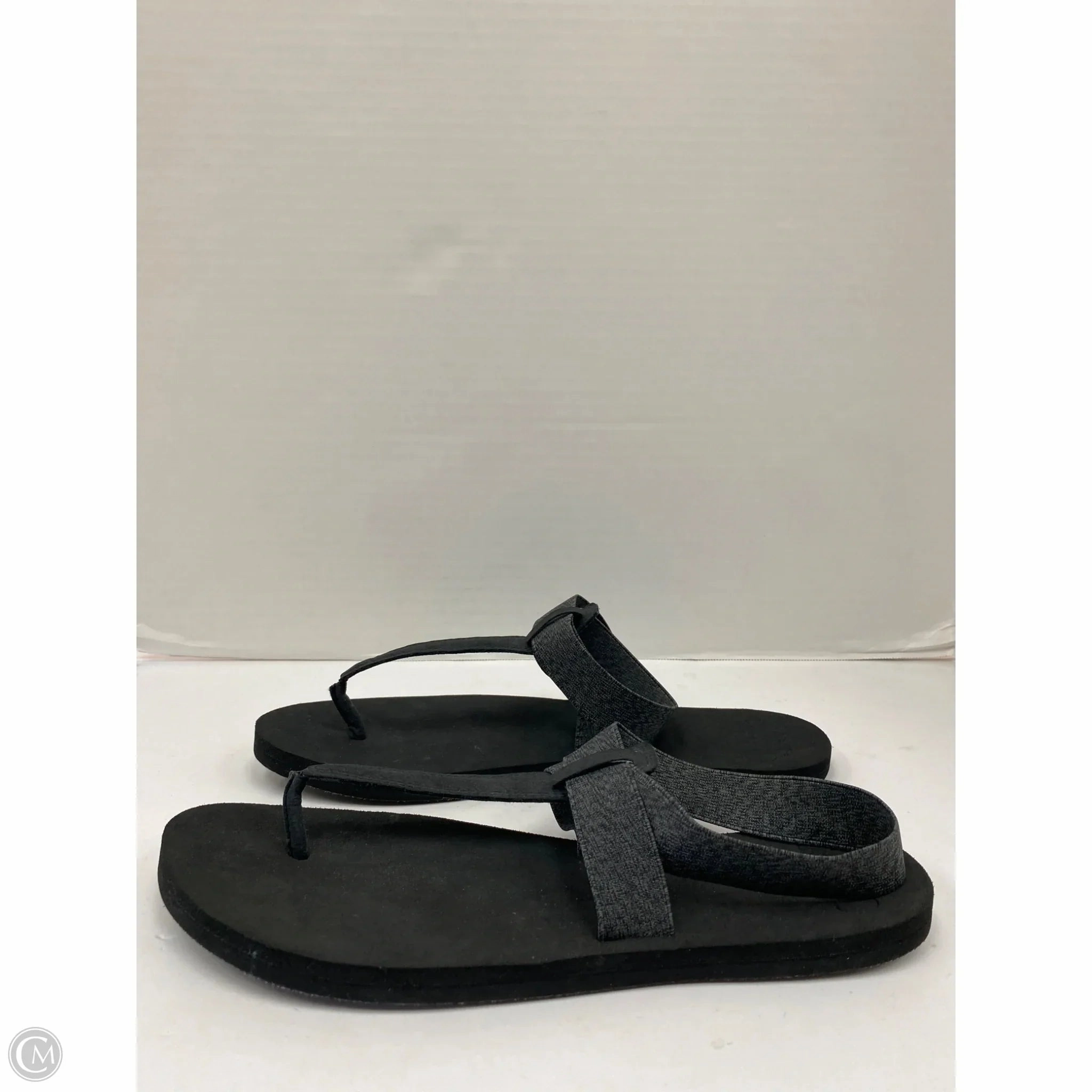 Flip Flops Daisy Sandals Flip Flops By Reef In Black, Size: 10