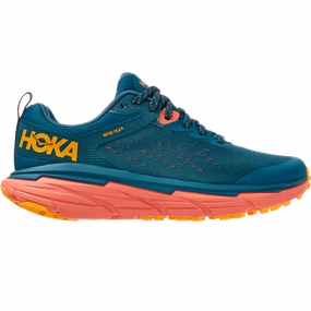 Women's Challenger ATR 6 GTX Best Trail Cycling Shoes