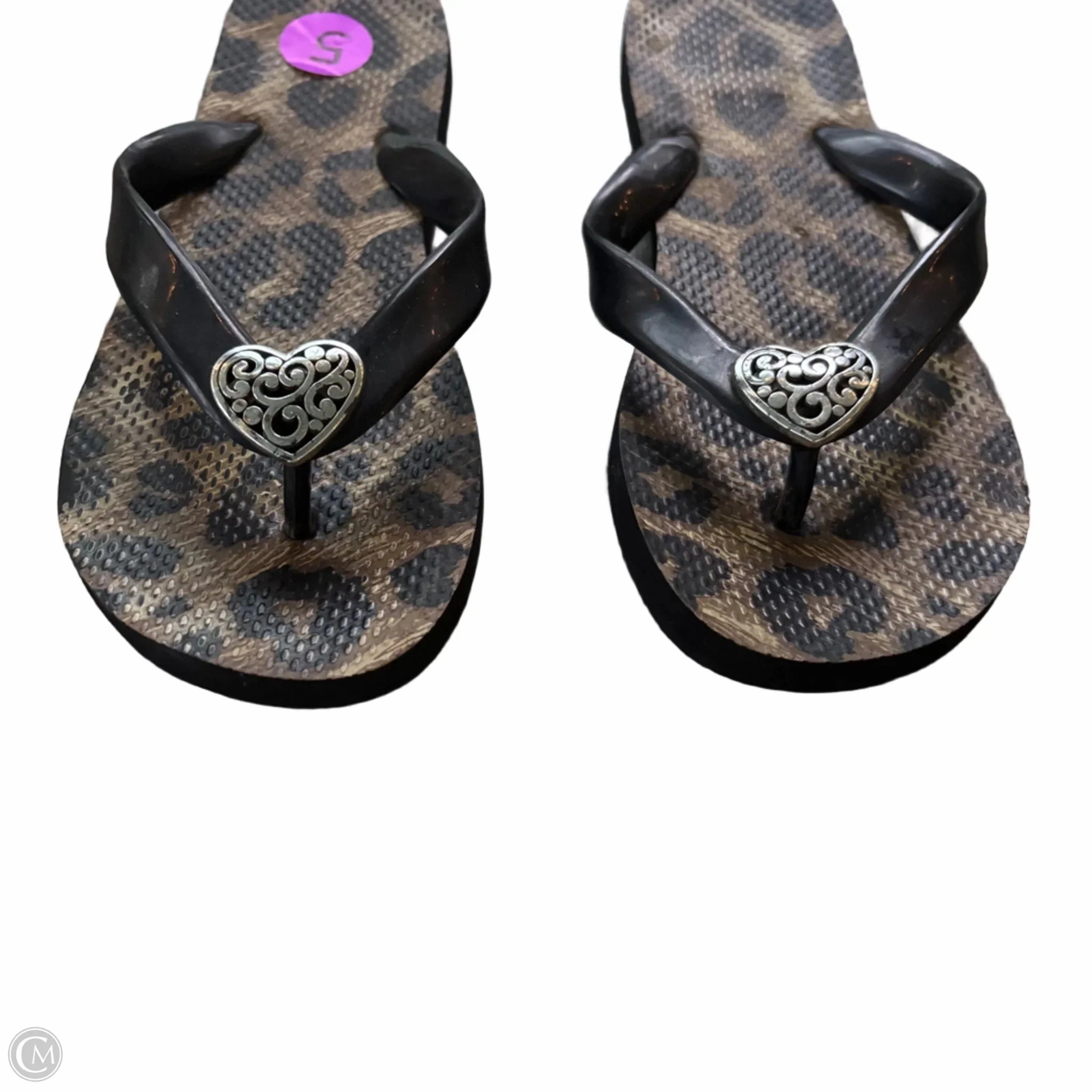 Flip Flop Feet Sandals Flip Flops By Brighton In Animal Print, Size: 5