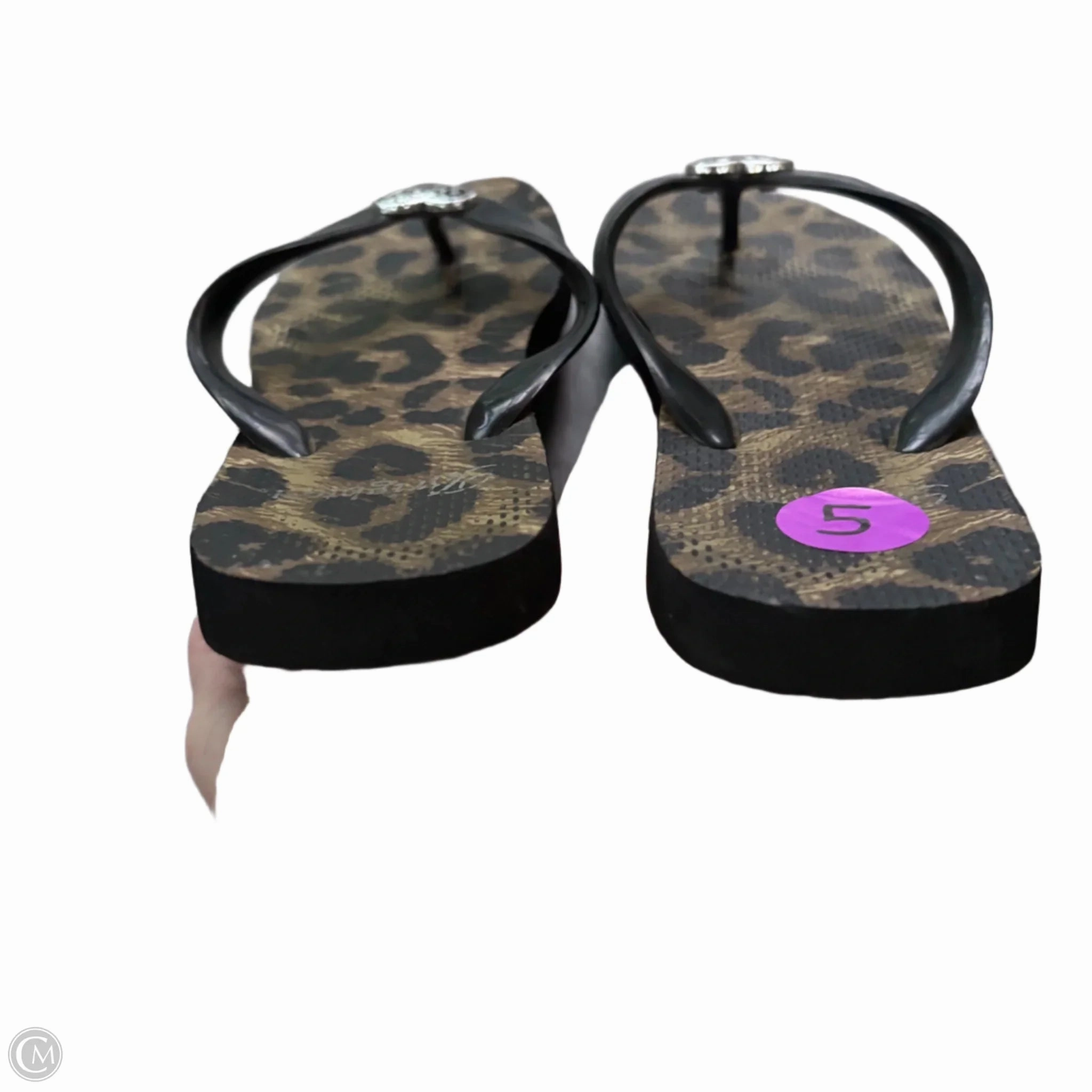 Sandals Flip Flops By Brighton In Animal Print, Size: 5 Flip Flops With Circle On Top