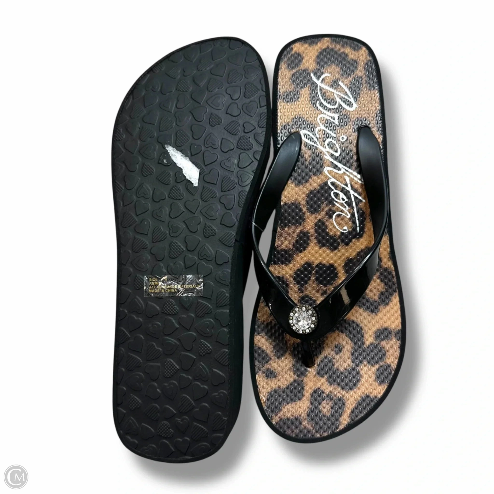 Starfish Flip Flops Sandals Flip Flops By Brighton In Animal Print, Size: 8