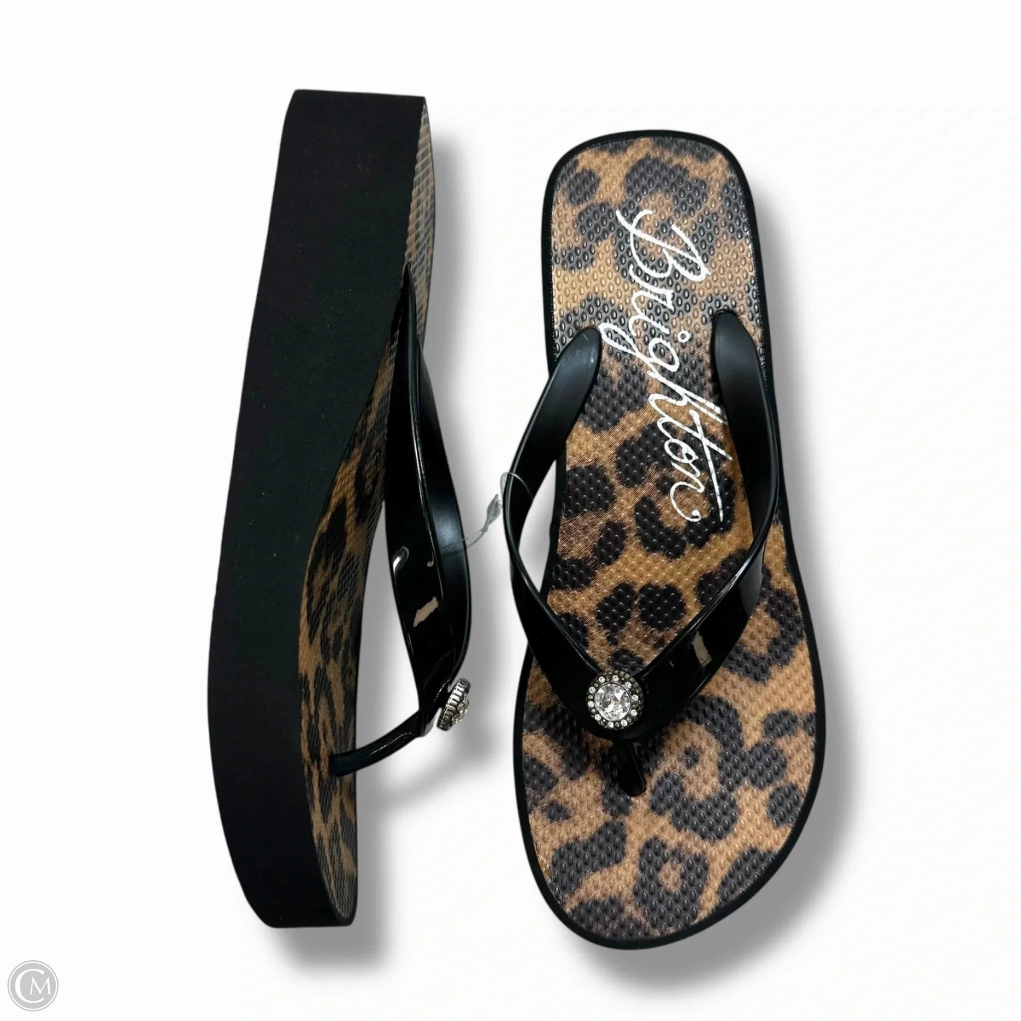 Sandals Flip Flops By Brighton In Animal Print, Size: 8 Flip Flops In Fashion