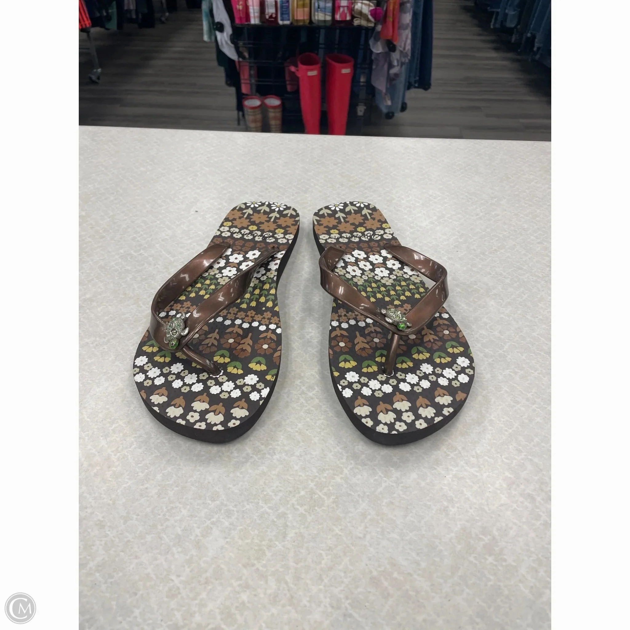 Glitter Flip Flops Sandals Flip Flops By Brighton In Brown, Size: 9