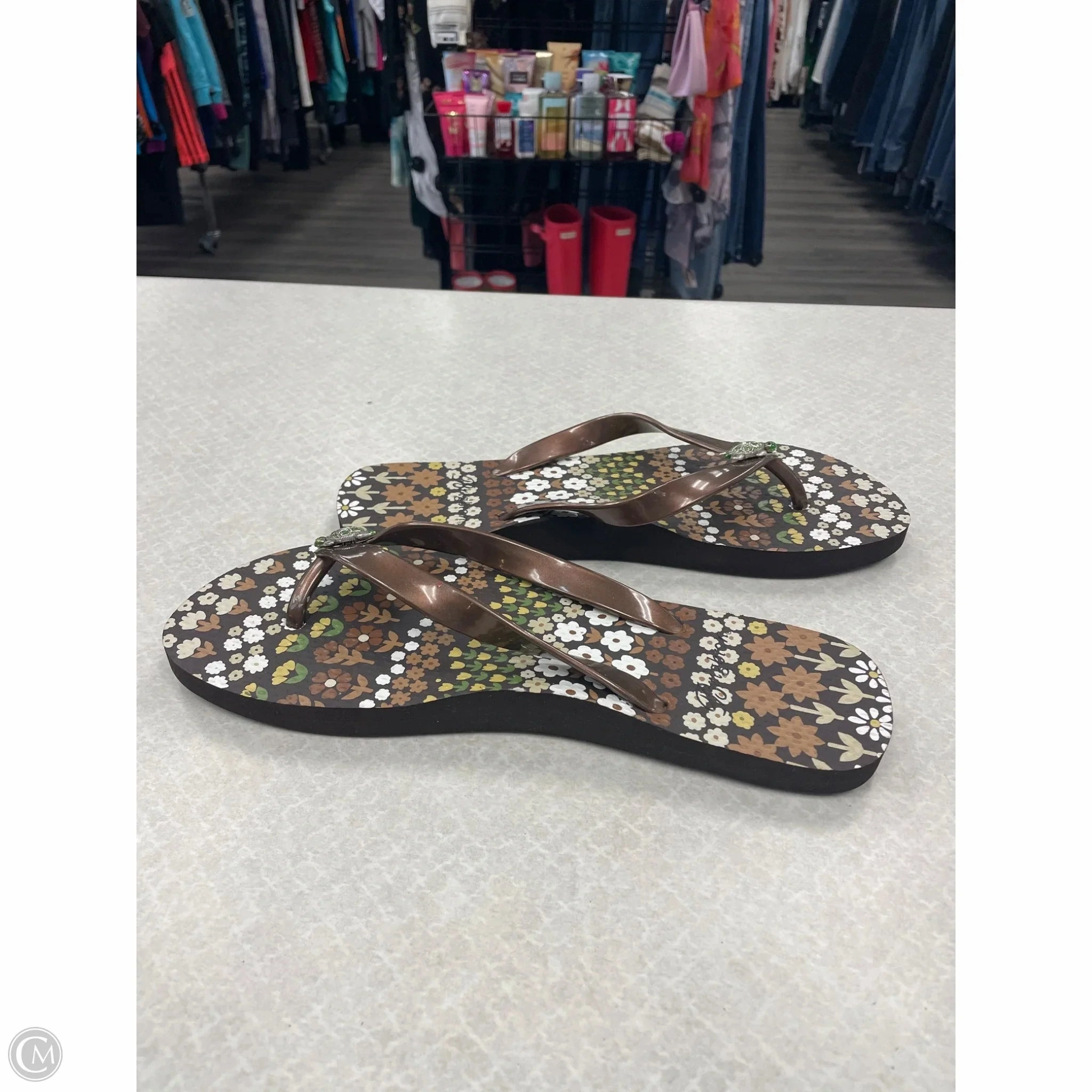 Bridal Beach Flip Flops Sandals Flip Flops By Brighton In Brown, Size: 9