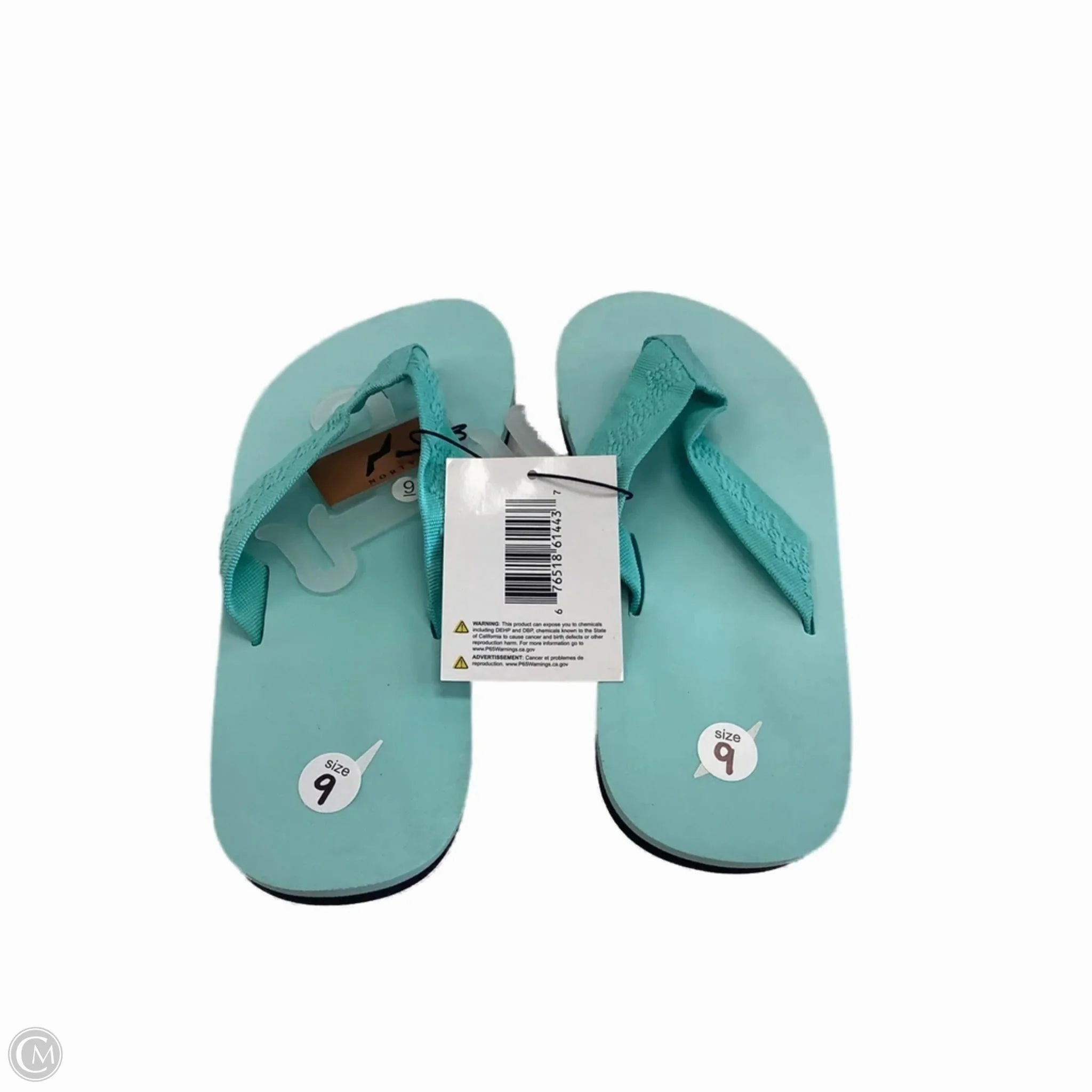 Men Who Wear Flip Flops Sandals Flip Flops By Clothes Mentor In Blue, Size: 9