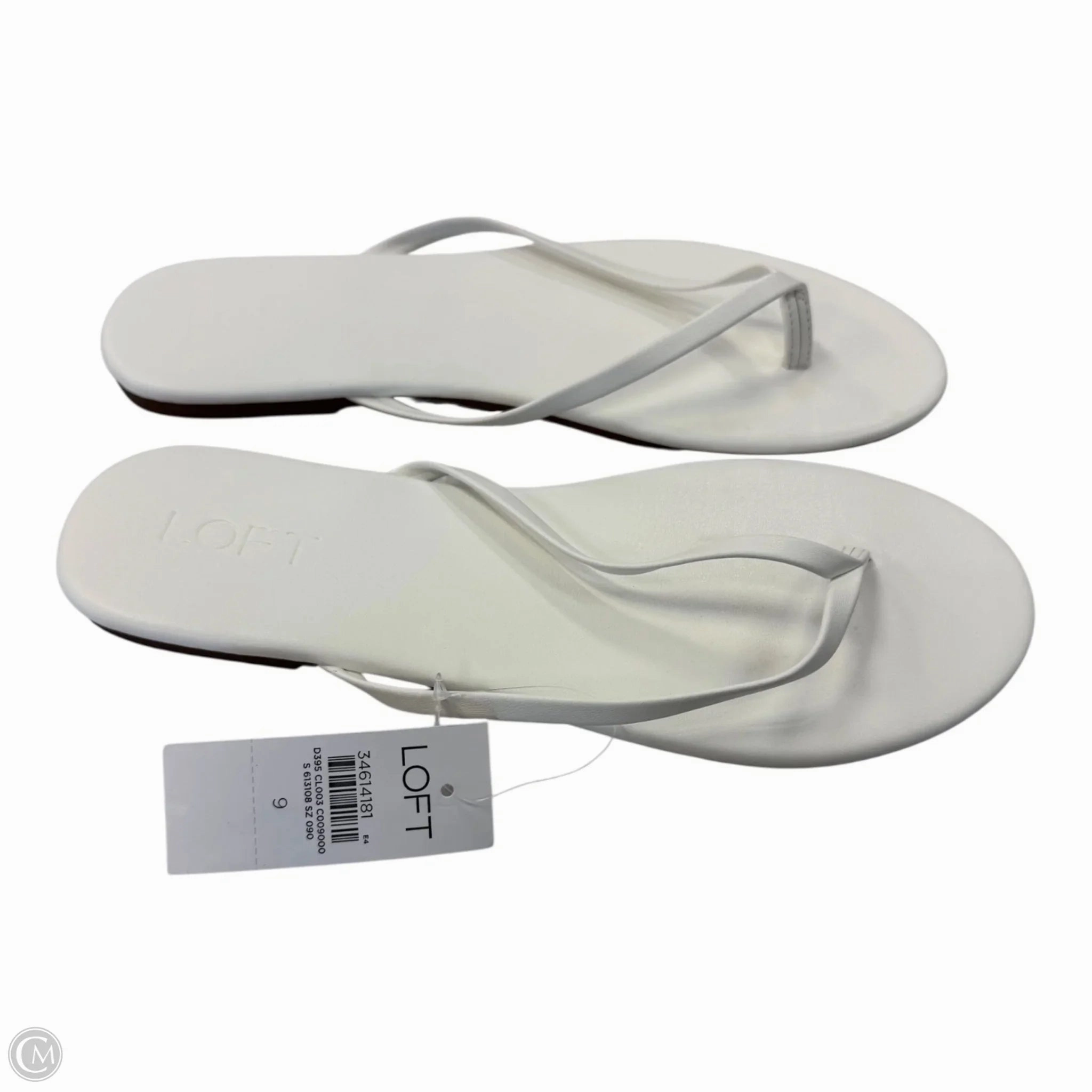 Flip Flops With Socks Sandals Flip Flops By Loft In White, Size: 9