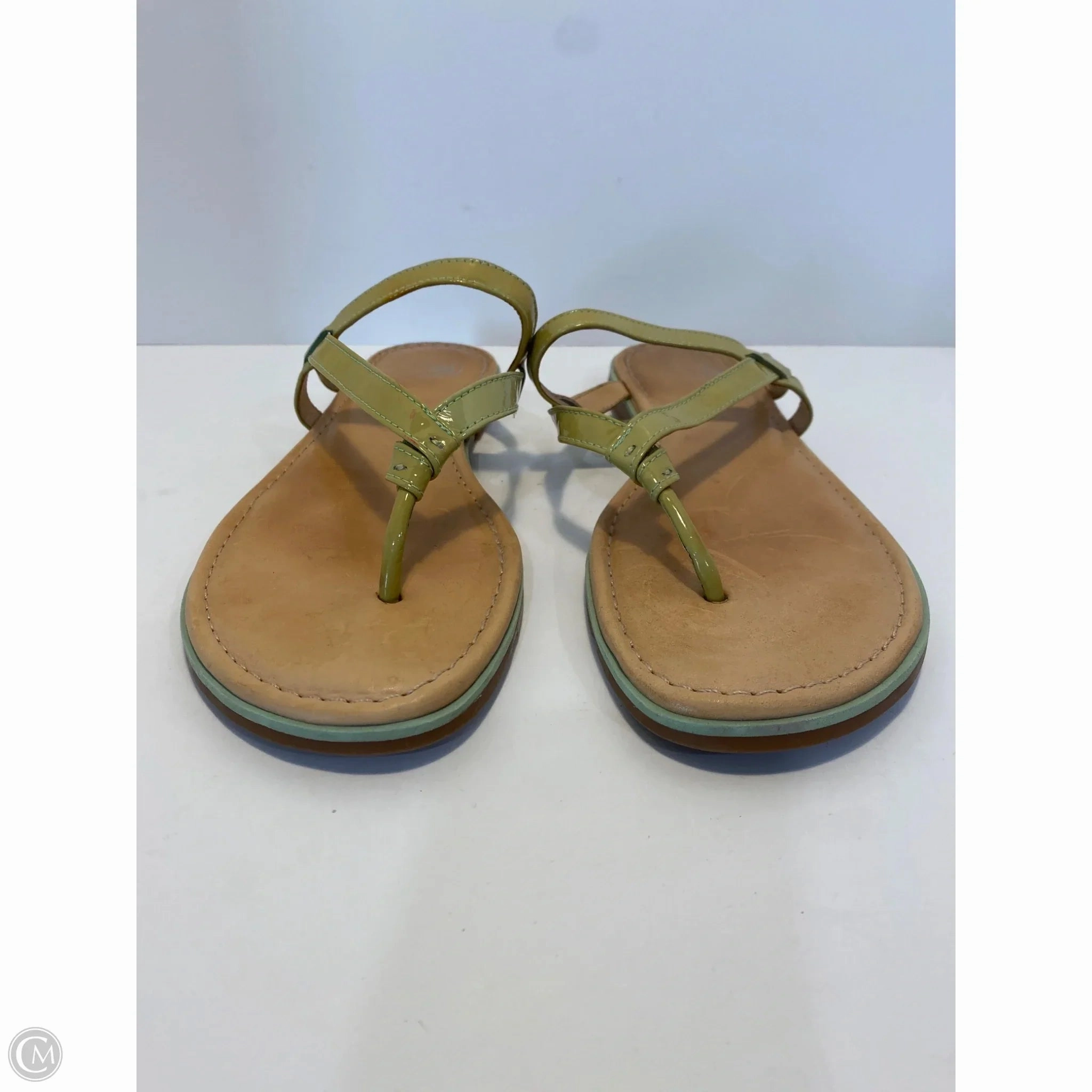 Leather Reef Flip Flops Sandals Flip Flops By Nurture In Lime, Size: 9