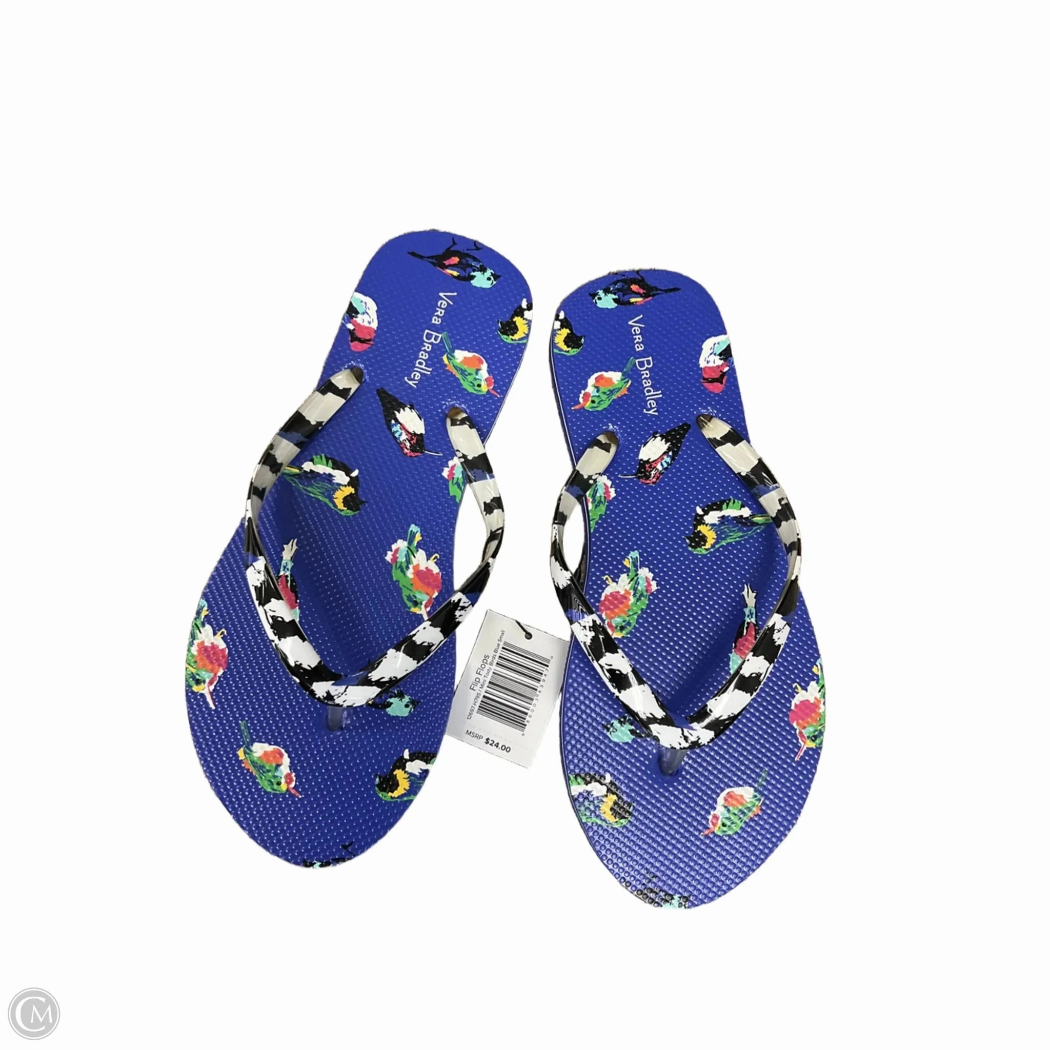 Sandals Flip Flops By Vera Bradley In Blue, Size: 6 Daily Flip Flops