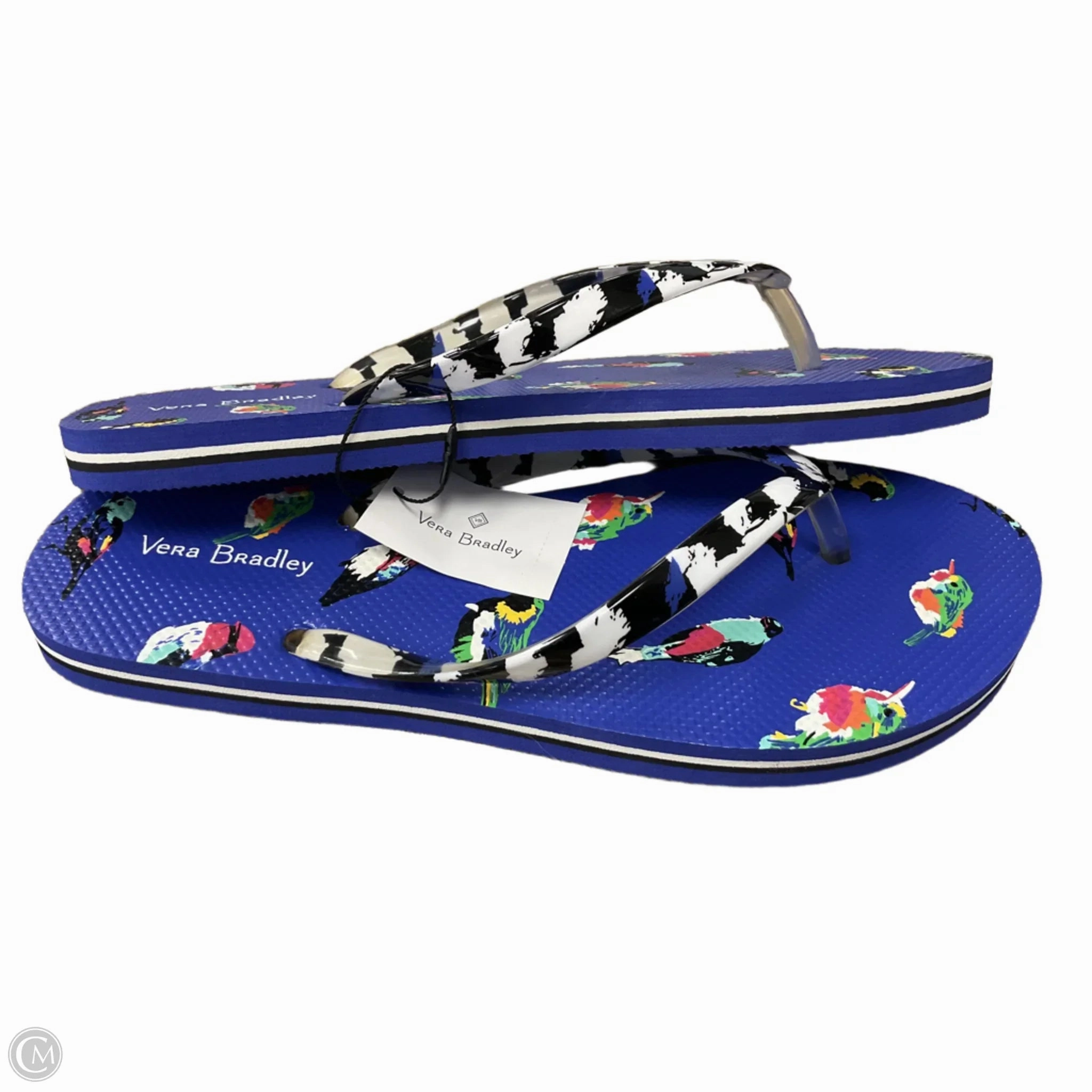 Jelly Bow Flip Flops Sandals Flip Flops By Vera Bradley In Blue, Size: 6