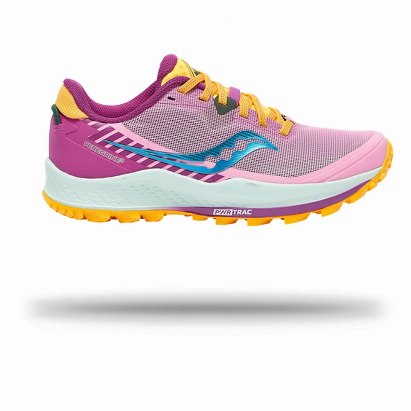 The North Face Trail  Saucony Women's Peregrine 11 Trail Running Shoe