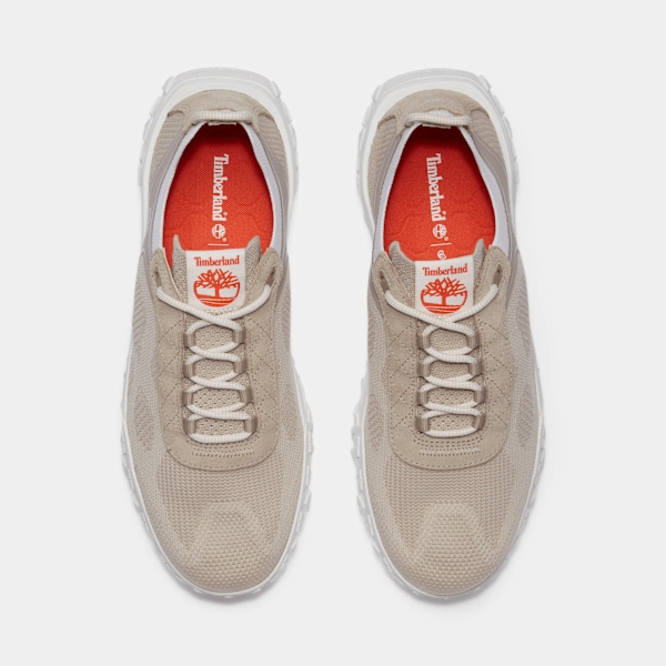 Newton Ridge Plus Amped Waterproof Hiking Boots Timberland Greenstride Motion 6 Low Lace-Up Hiking Boot Light Taupe Mesh Men'S