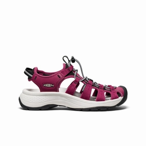 Trail Vs Road Shoes Women's Astoria West Sandal  |  Beaujolais/Star White