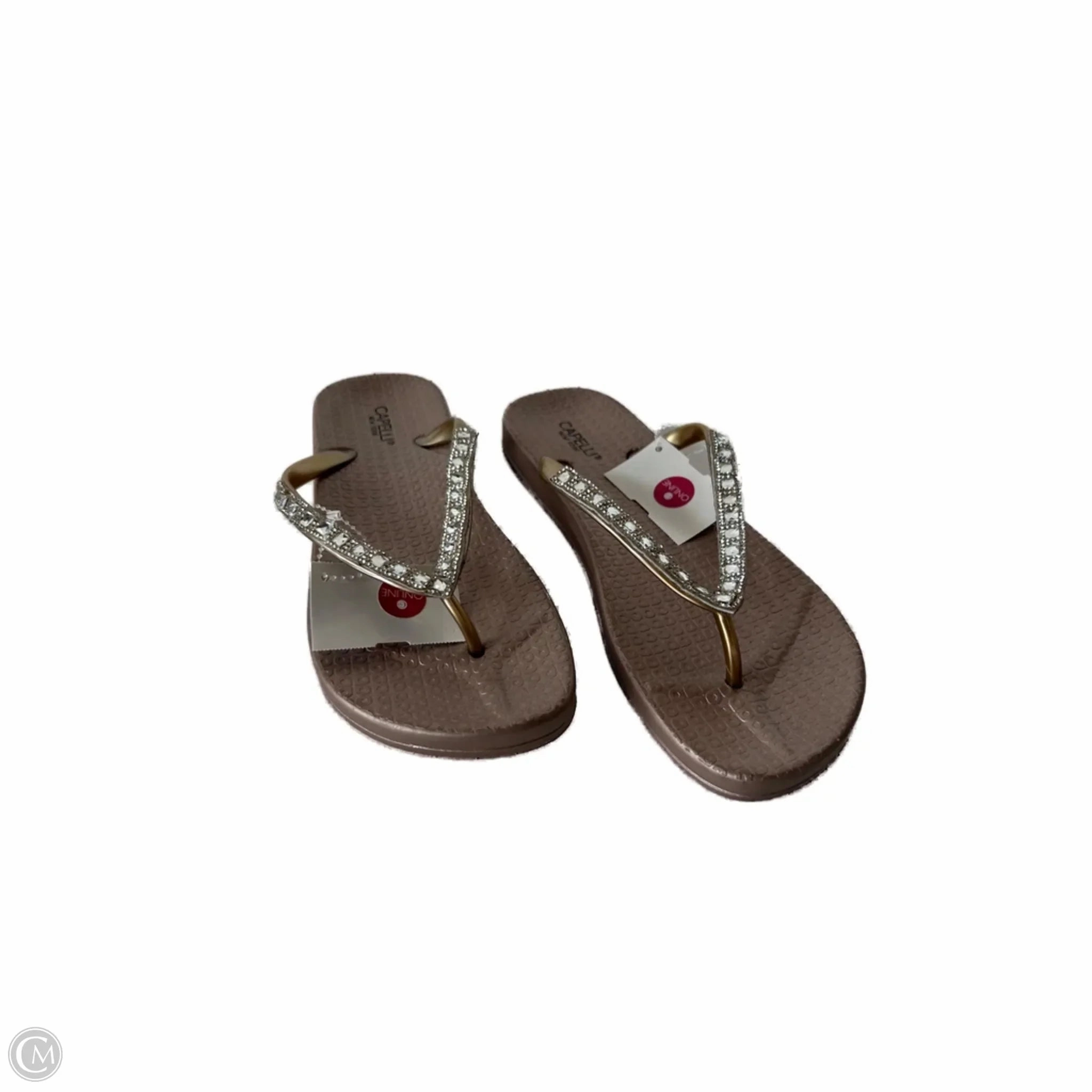Sandals Flip Flops By Capelli In Taupe, Size: 7 4 Inch Flip Flops