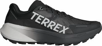 Terrex Agravic 3 Men's