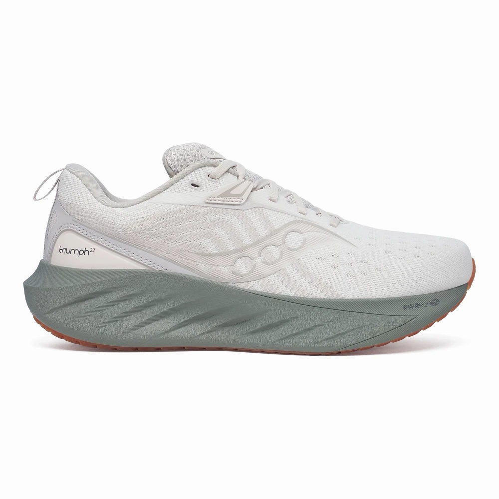 Running Shoes 2016 Triumph 22 Men's