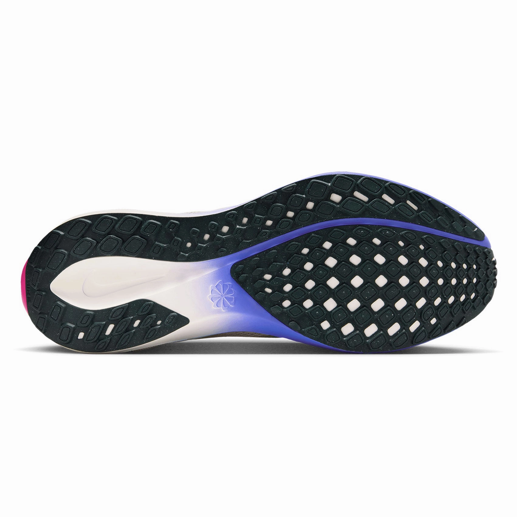 Ohio State Nike Shoes Mens Nike Pegasus 41 EK